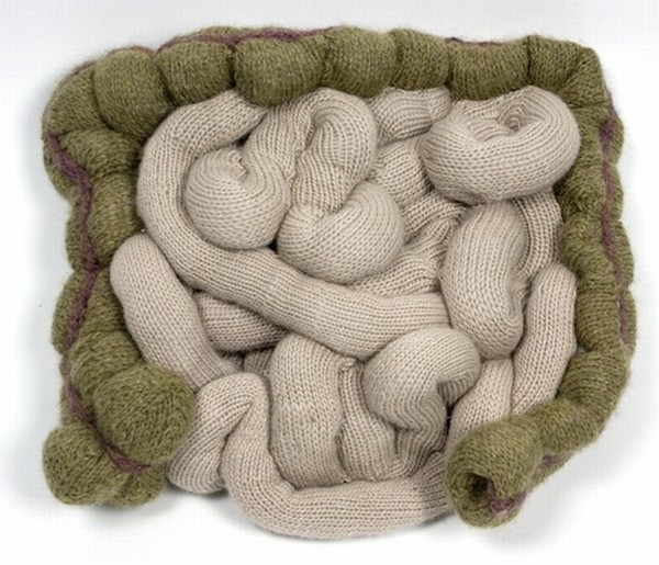 Vemos una cantidad de tejido de lana que hace la forma de un intestino en colores  pardos