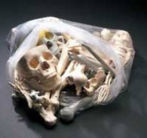 Una bolsa muy grande llena de huesos cráneos manos fémures y peronés