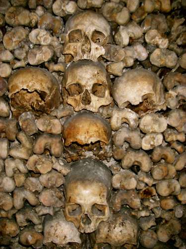 Vemos muchos cráneos y fémures y muchos huesos apiñados en unas cavernas 
