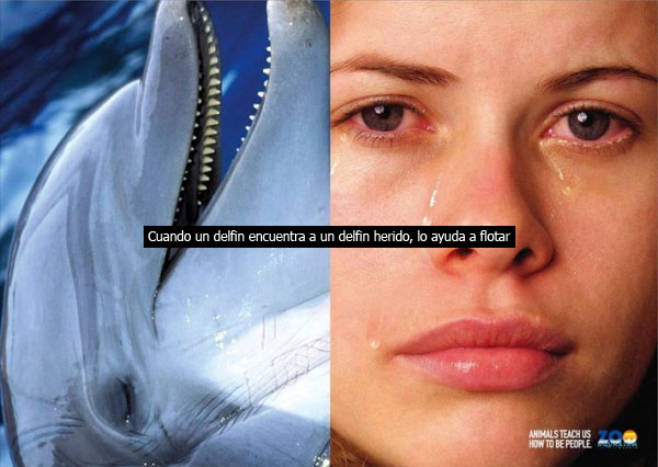 Vemos un delfin que muestra sus dientes y al lado una mujer blanca de ojos azules y llorando