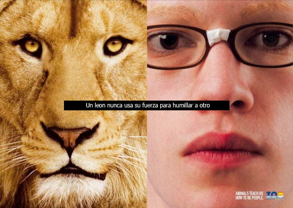 Vemos a un león con color naranja y ojos de mirada fija y al lado  una mujer con gafas