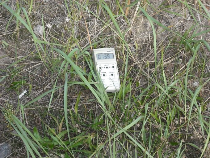 Tenemos el medidor de radiactividad sobre la hierba que muestra una cantidad  no tan peligrosa