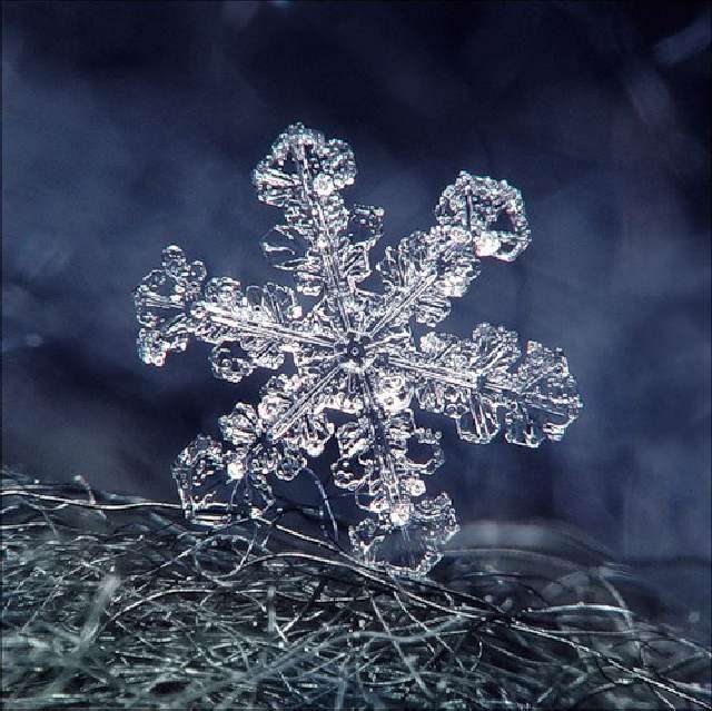 Un copo de nieve con muchos brillos que trasmiten la cantidad de cristales de agua frizada