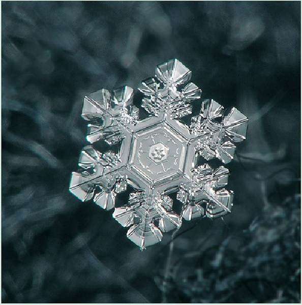 Un copo de nieve en forma exagonal con un hermoso centro 