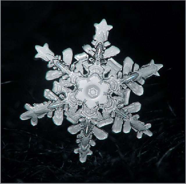 Otro copo de nieve también exagonal con un gran centro y puntas que parecen cristal