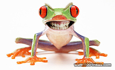 Observamos una rana  que con grandes ojos y una gran sonrisa que es una dentadura humana  