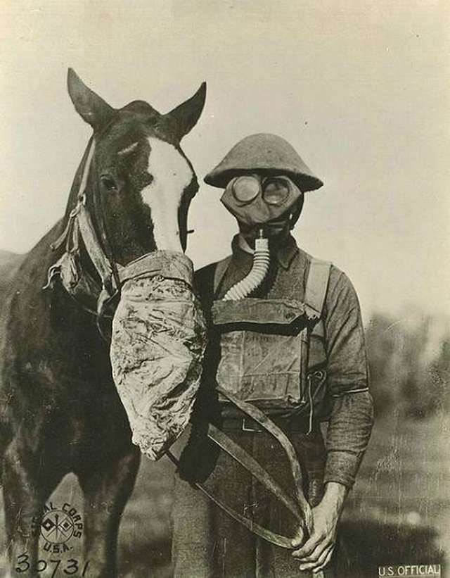 Un soldado con con mascara anti-gases  su caballo  también tiene su mascara anti-gases es