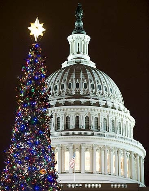 Vemos aqui un gran árbol iluminado y con una gran estrella en la punta al pie de un edificio blanco que  en su cupula tiene una gran estatua