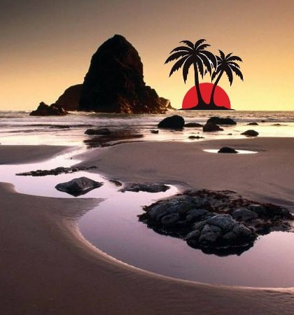 Vemos a una hermosa playa con arena palmeras y un inmenso sol  y hay un  monte de color café