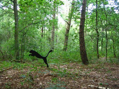Vemos un pequeño bosque donde se ve un puma negro tratando de subir a un arbol