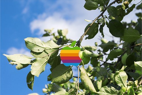 Vemos entre un arbusto una manzana con los colores del arco iris y le falta un pedazo