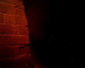 Vemos un muro  de ladrillo muy rojo el gato no se ve