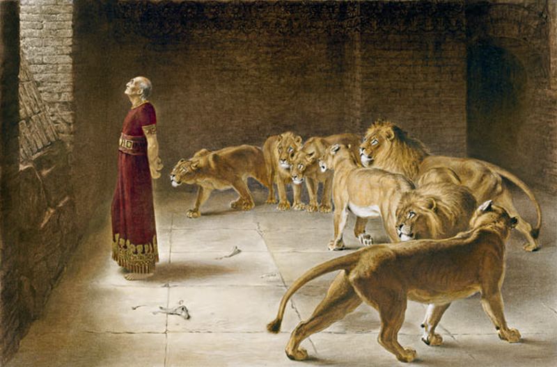 Hombre en una fosa de leones