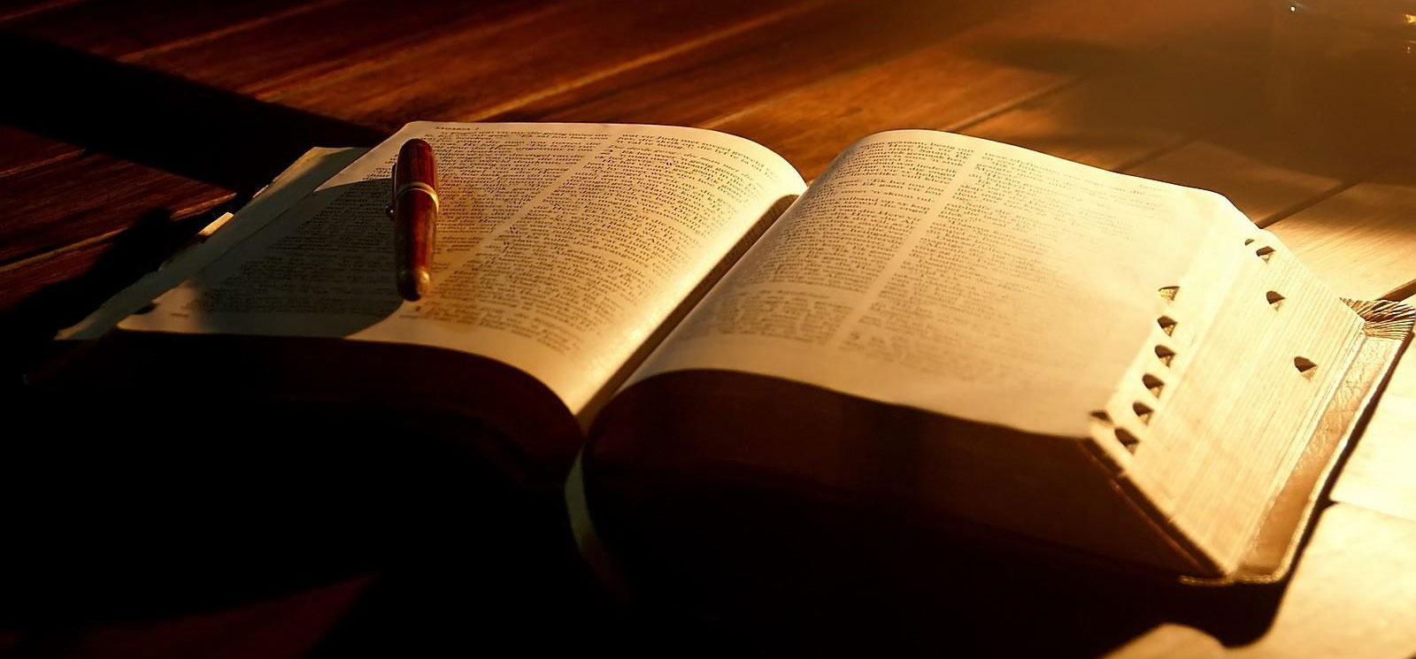 Observamos aqui un libro abierto y encima un lapicero