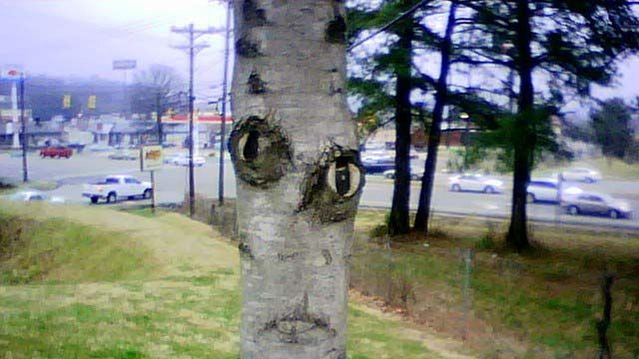 El tronco de un árbol con ojos nariz y boca muy decorado