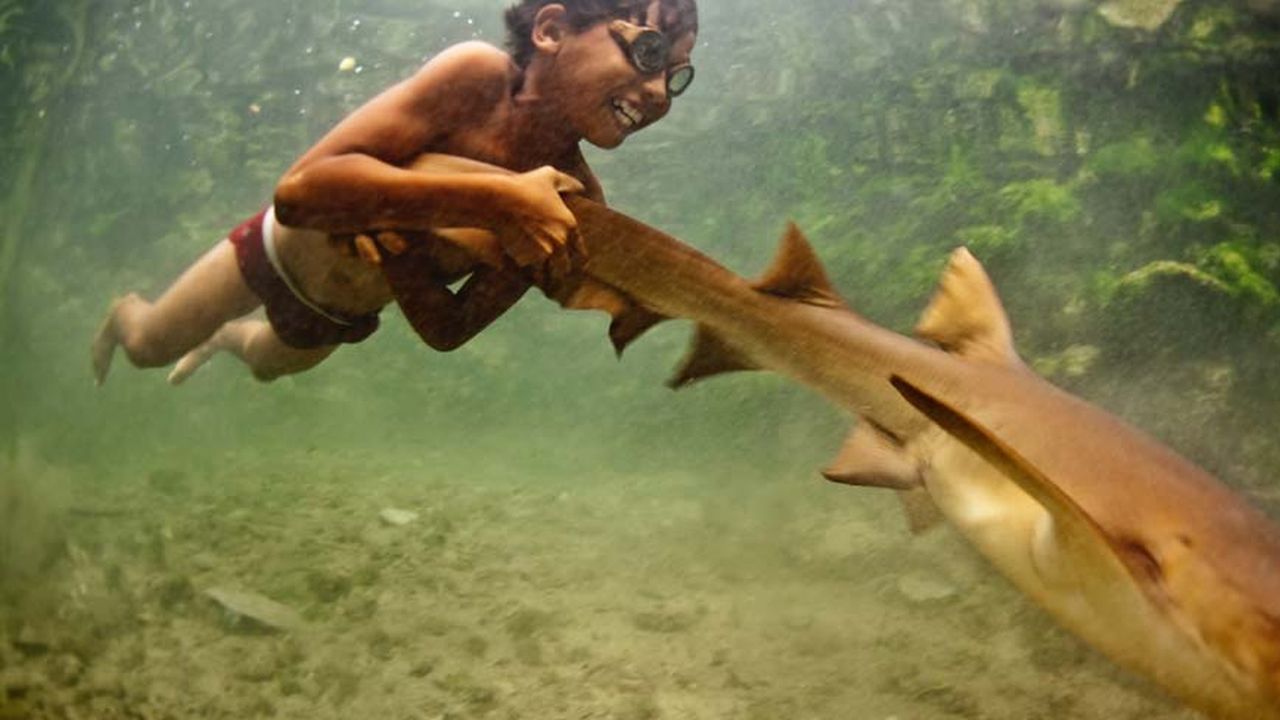 Un niño que juega con un tiburón bebé y este lo ayuda a impulsarse 