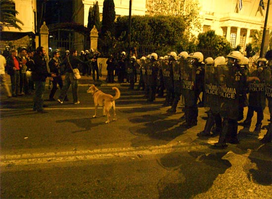 Policías con escudos  y gente  que protesta aparece otra vez el mismo perro