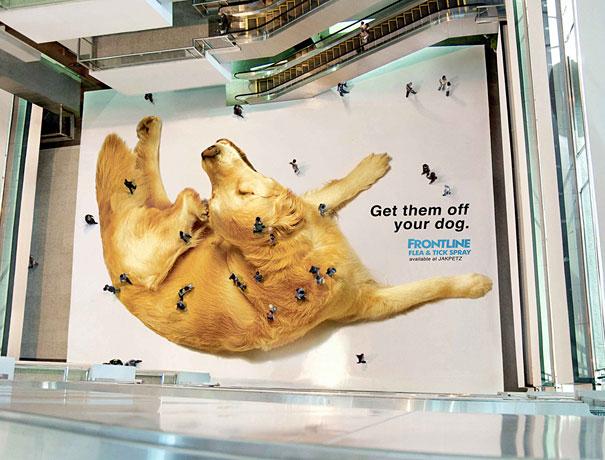 Tenemos un centro comercial y en su parte baja se ve un perro lleno de pulgas y una publicidad de un producto para quitar las plagas