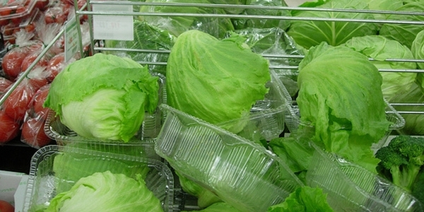 Aquí  una cantidad de lechugas  de un color verde  en empaques de plastico