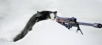 Vemos un gato que parece que fuese a disparar pero esta detrás de un montículo de nieve