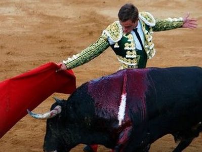 Vemos aun torero con un toro ya herido que mueve su capote  