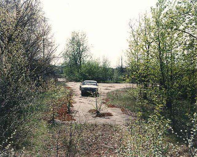 Vemos un pareje solitario con algo de vegetación y un carro abandonado