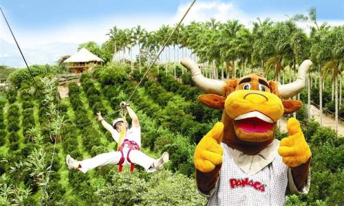 Vemos a una persona  que avanza sobre un cable y una vaca que saluda a los que pasan