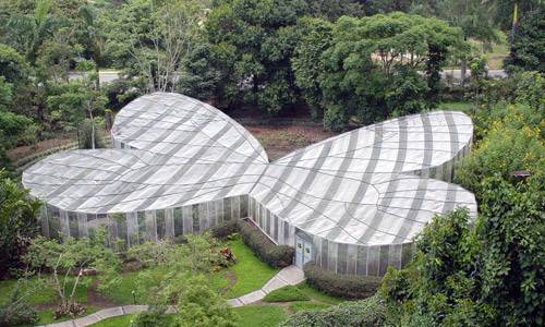 Vemos desde una parte alta una hermosa y grande mariposa  dentro esta el mariposario para ver muchas clases de mariposas que tienen alli
