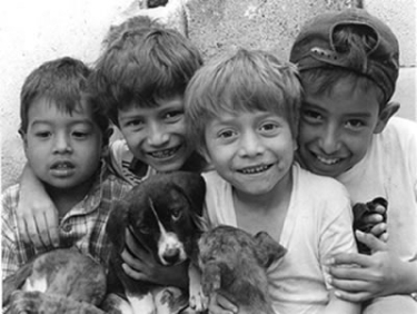 Veo cuatro niños  que sonrien muy alegremente y tienen tres perros como sus mascotas