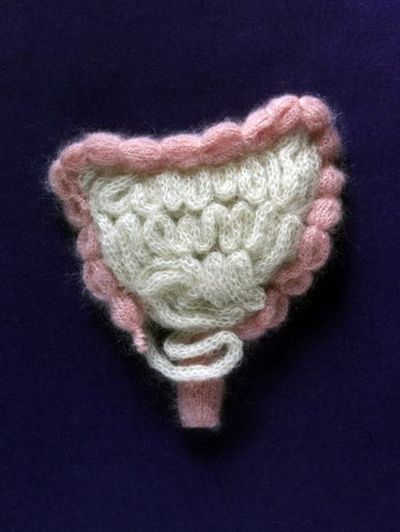 Tenemos aqui al intestino tejido en lana en color piel y rosa