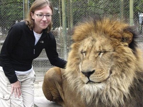 Vemos a un gran leon  con una niña que comparte con El sin darle ninguna muestra de miedo