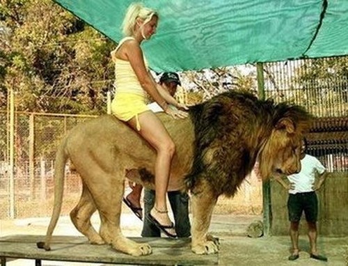 Tenemos a una mujer rubia que muy segura mota encima de un leon al lado de su doador