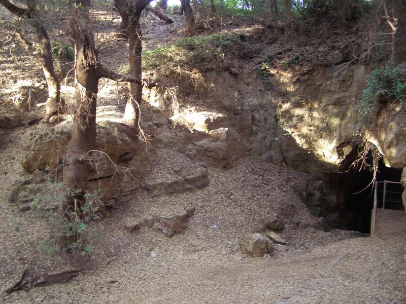 Cueva en medio de un aparente bosque cion una reja