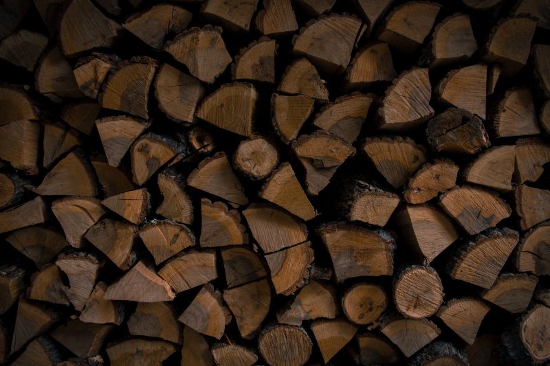 partes de arbol juntas