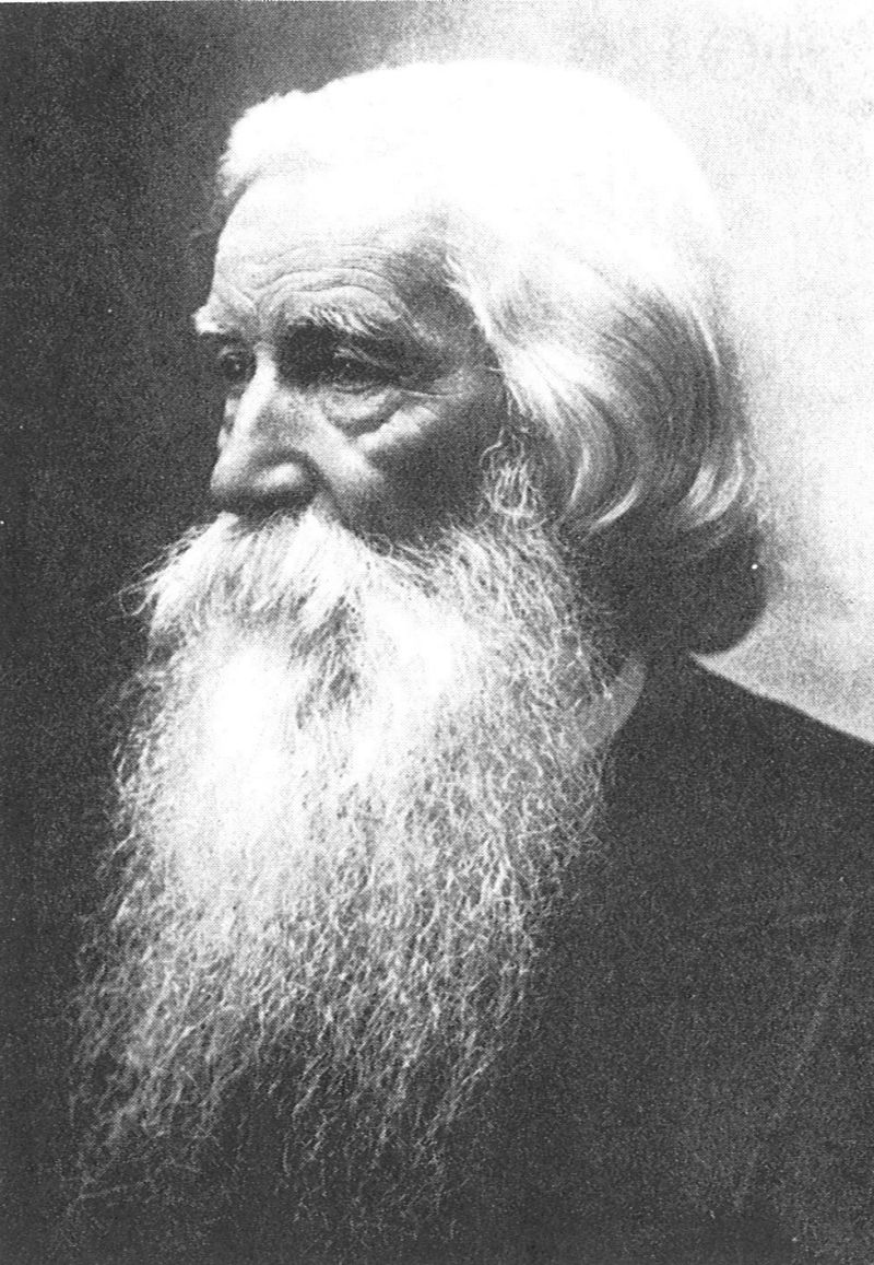 Hombre barbado de edad avanzada