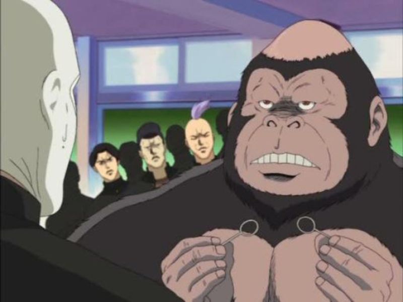 Un orangutan sin pelo en la coronilla