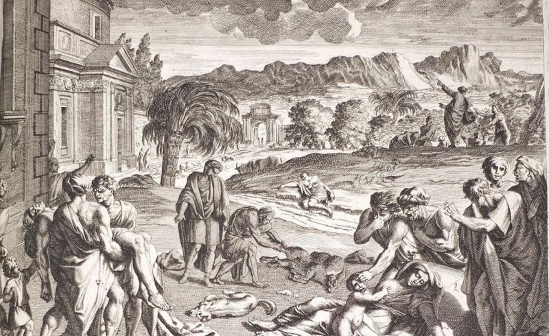 Personas muertas por las plagas