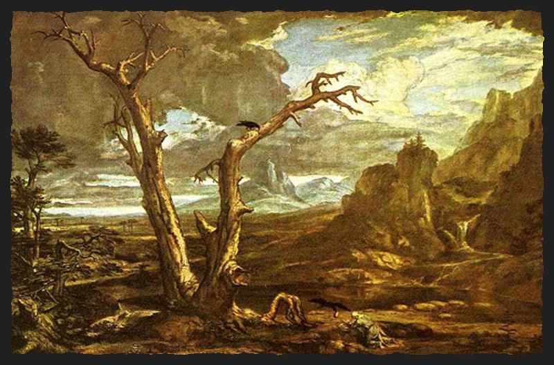 Un hombre y varios cuervos