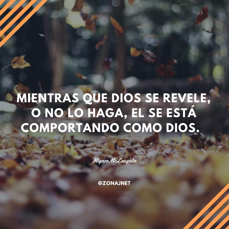 Observamos una cantidad de hojas y pétalos que levanta el viento y vemos un mensaje en letras blancas