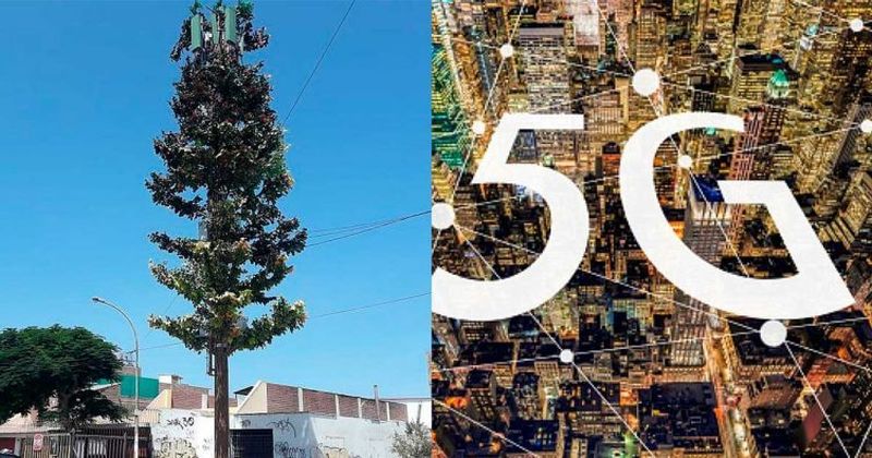 5G con un arbol al lado