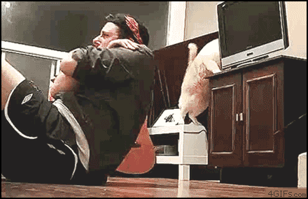 Una persona gorda mientras que hace abdominales su gato le tira el televisor en la cabeza