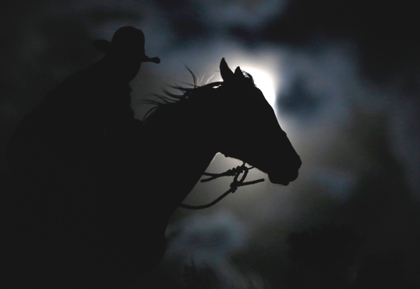 Un hombre sobre su caballo en una noche de luna llena la foto en blanco y negro