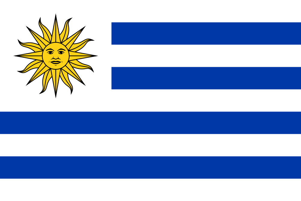 Vemos una bandera  con un sol brillante en la franja blanca  con dos franjas azules en mitad y dos franjas azules completas y  cuatro franjas blancas